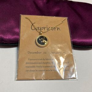 New Capricorn Gold color necklace